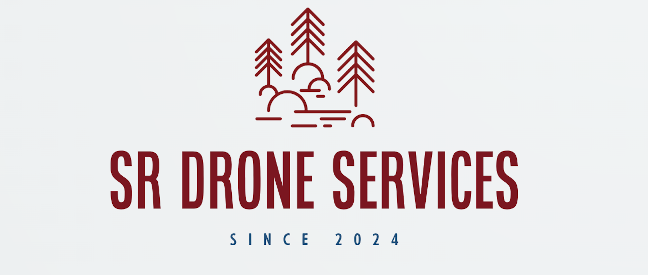 SR Drone Services